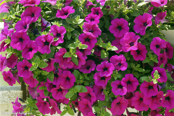 ��ǣţ���ʩ�� ������ʩ���ǰ�ǣţ����ȷ��ʩ�ʷ���Ŷ