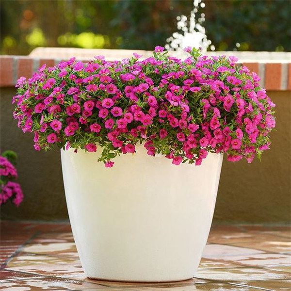 ��ǣţ����ˮ���� ˮ�ఫǣţ�ķ���С���ɿ�����