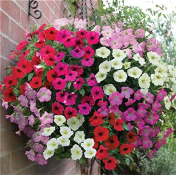 ��ǣţ����ˮ���� ˮ�ఫǣţ�ķ���С���ɿ�����