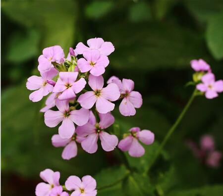 ��������ֳ������ע��������ʲô ��ô������泤��һ�������