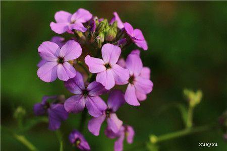 ��������ֳ������ע��������ʲô ��ô������泤��һ�������