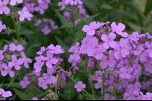 ��������ֳ������ע��������ʲô ��ô������泤��һ�������