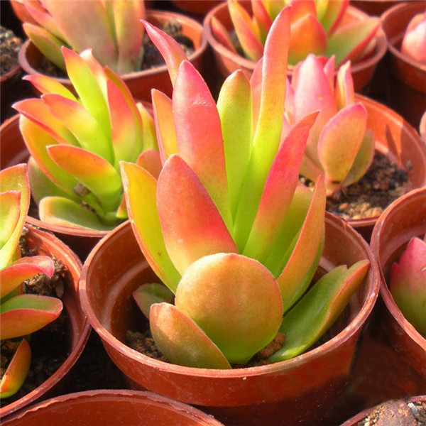 ��������ôʩ�� �������������ʩ�ʾ��Դ�����