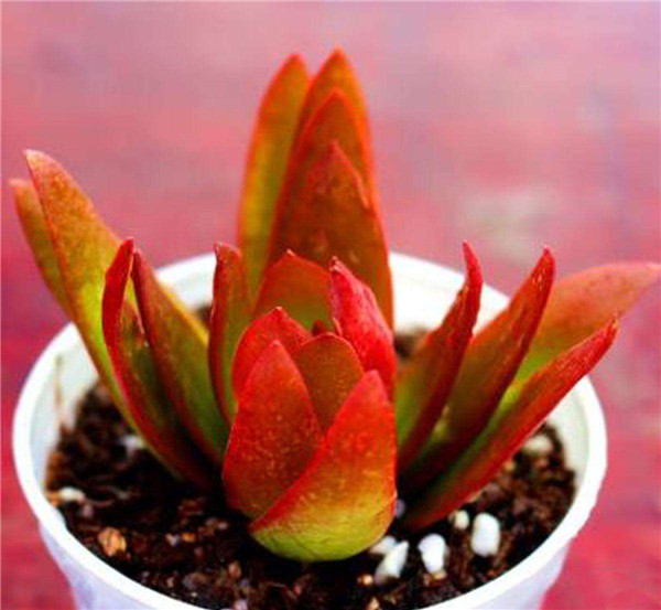 ��������ôʩ�� �������������ʩ�ʾ��Դ�����