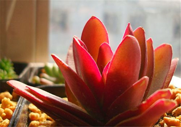 ��������ôʩ�� �������������ʩ�ʾ��Դ�����