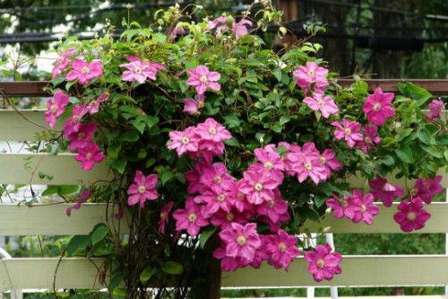 ��������������ô��  ����������ֳ������ע���������