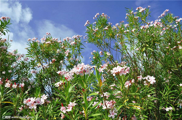 ���������Ǥ�� ������������Ǥ���������Ŷ