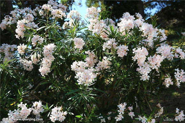 ���������Ǥ�� ������������Ǥ���������Ŷ