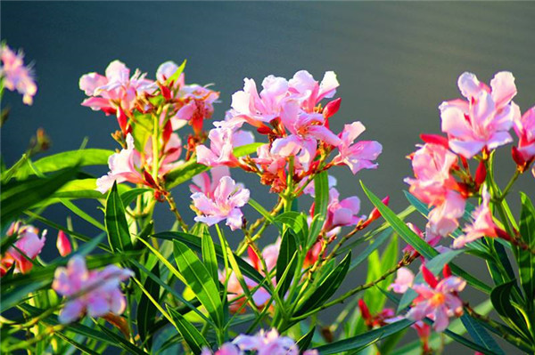 ���������Ǥ�� ������������Ǥ���������Ŷ