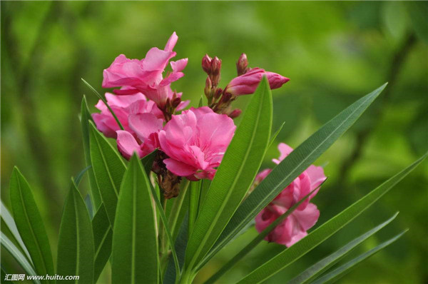 ���������Ǥ�� ������������Ǥ���������Ŷ