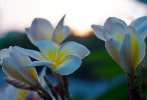 �������ж��� �������Ĺ�Ч��������Ҫ����Щ