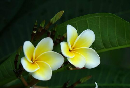 �������ж��� �������Ĺ�Ч��������Ҫ����Щ