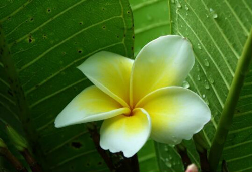 �������ж��� �������Ĺ�Ч��������Ҫ����Щ