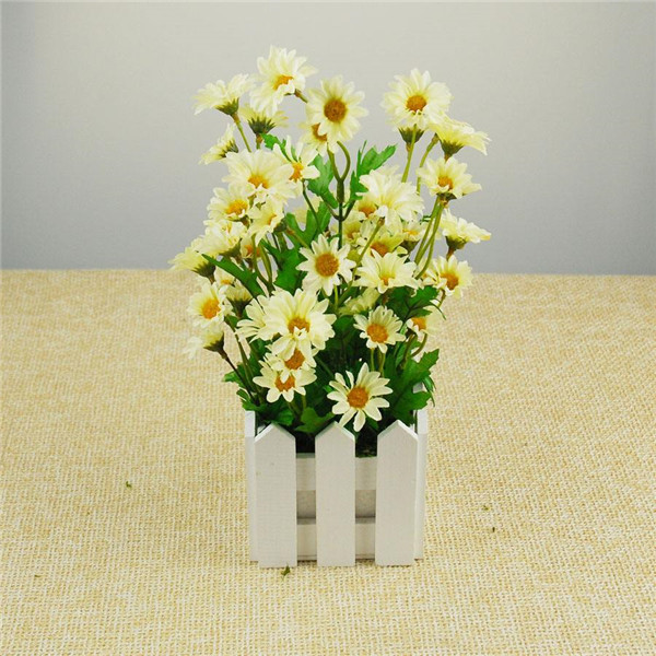 雏菊什么时候开花 雏菊开花后这样处理可以延长花期哦