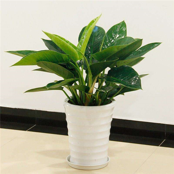 ������ô�޼� ѧ����4���޼��������ͻ������Ŷ