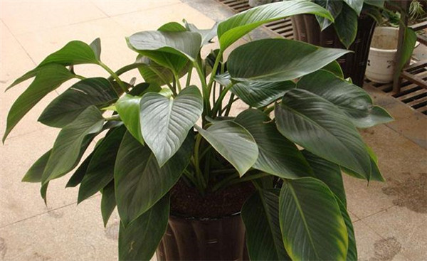 ������ô�޼� ѧ����4���޼��������ͻ������Ŷ