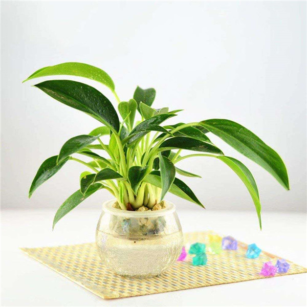 �������ˮ���� �����ˮ�෽����������������������