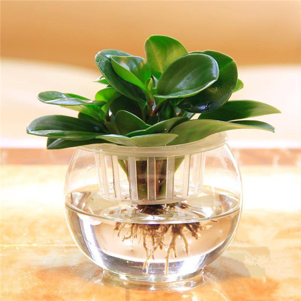 �������ˮ���� �����ˮ�෽����������������������