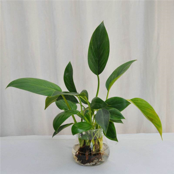 �������ˮ���� �����ˮ�෽����������������������