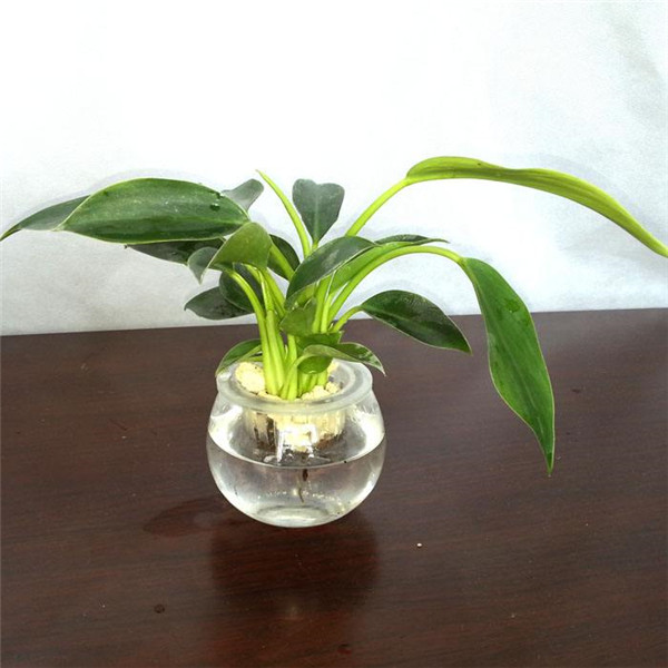 �������ˮ���� �����ˮ�෽����������������������