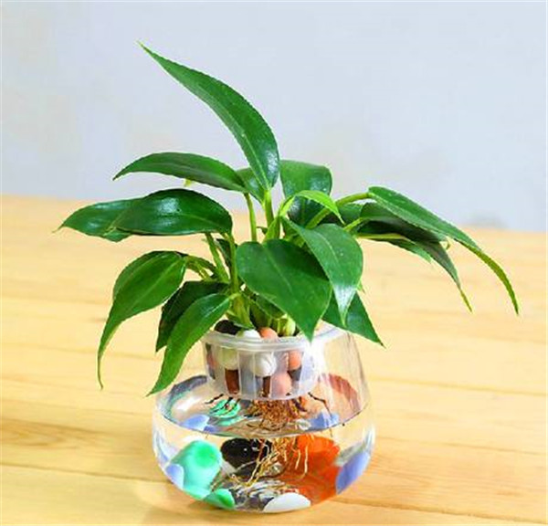 �������ˮ���� �����ˮ�෽����������������������