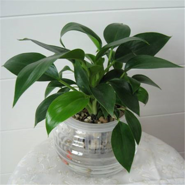 �������ˮ���� �����ˮ�෽����������������������