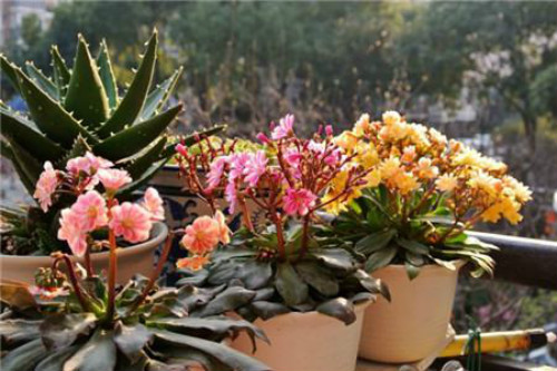 ¶ޱ���ж��� ����¶ޱ����Ҫע�����������Щ