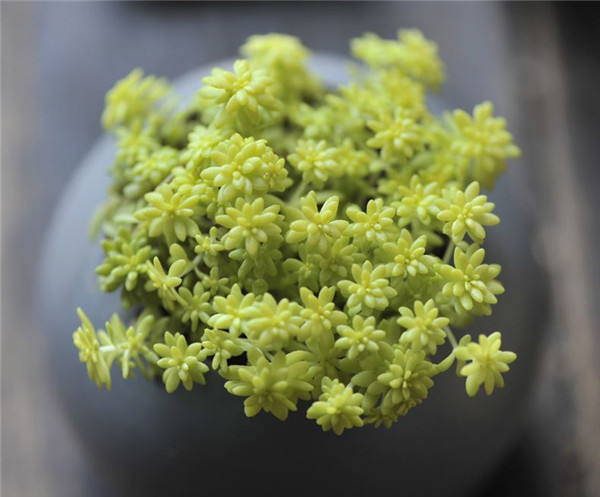 �ƽ������������ô�� ����������������ԭ���µ�Ŷ