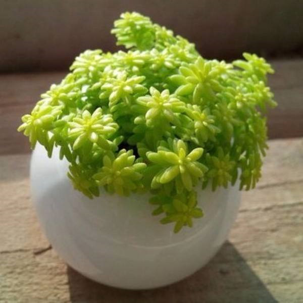 �ƽ������������ô�� ����������������ԭ���µ�Ŷ