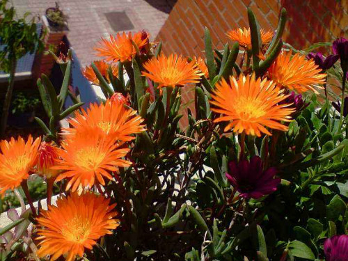 ���뺣�Ĳ�������ô����  ע����3�����뺣��Խ��Խ��