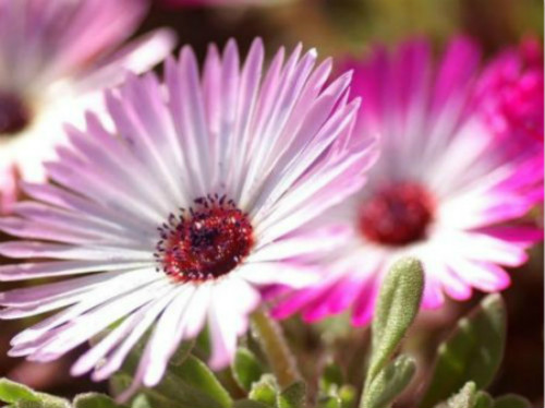 ���뺣�Ĳ�������ô����  ע����3�����뺣��Խ��Խ��