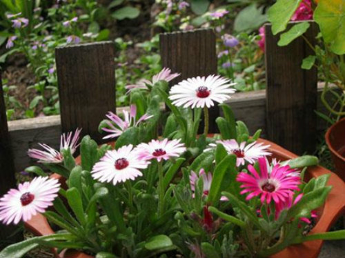 ���뺣�Ĳ�������ô����  ע����3�����뺣��Խ��Խ��