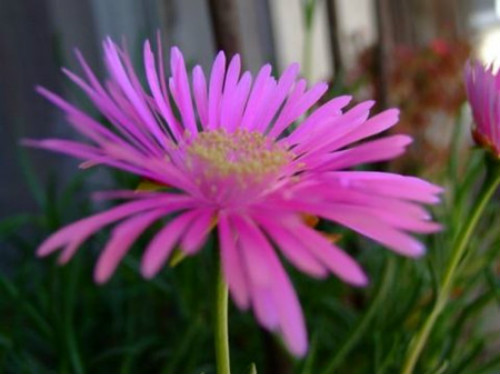 ���뺣�Ĳ�������ô����  ע����3�����뺣��Խ��Խ��