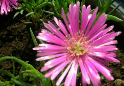 ���뺣�Ĳ�������ô����  ע����3�����뺣��Խ��Խ��