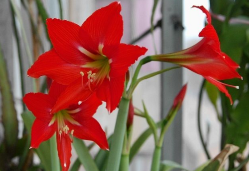 �����ж�����Է������� ����������Ҫע���⼸������