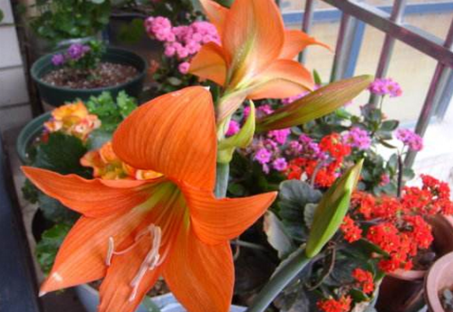 �����ж�����Է������� ����������Ҫע���⼸������