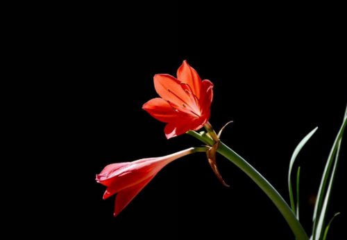 �����ж�����Է������� ����������Ҫע���⼸������