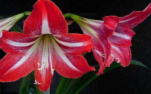 �����ж�����Է������� ����������Ҫע���⼸������