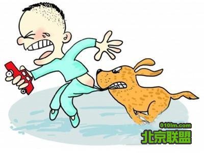 狂犬病早期有哪些症状?这些症状不可忽视