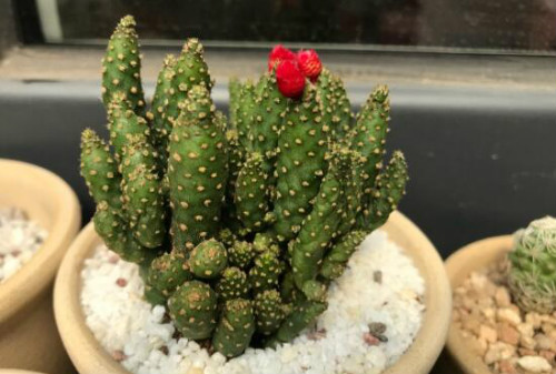 ��ɺ����ý�һ��ˮ ��ɺ����ˮ�ʹ�������������