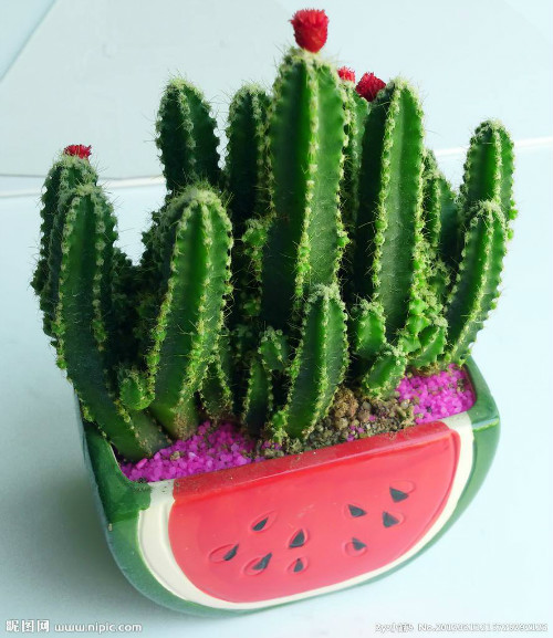 ���ǻ��ж������ڼ������� ���ǻ�֭Һ�ж���ô����ٽⶾ����