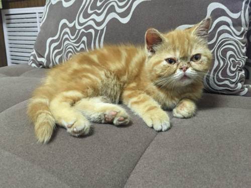 һôӷèӷèҪעʲô