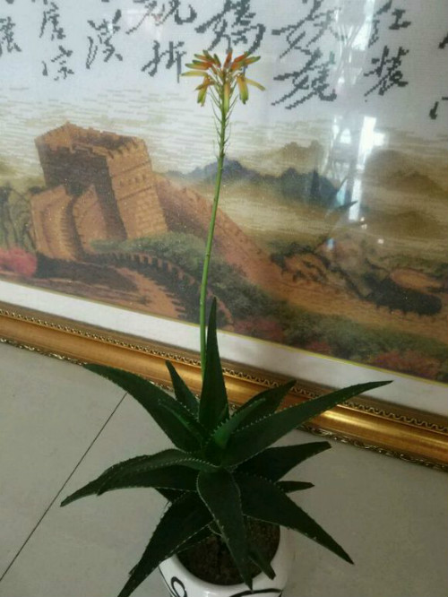 ������̫����ô���ܼ��� ��������ô�޼�����������