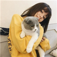 养猫对女生妇科的危害,爱它还是爱你自己?