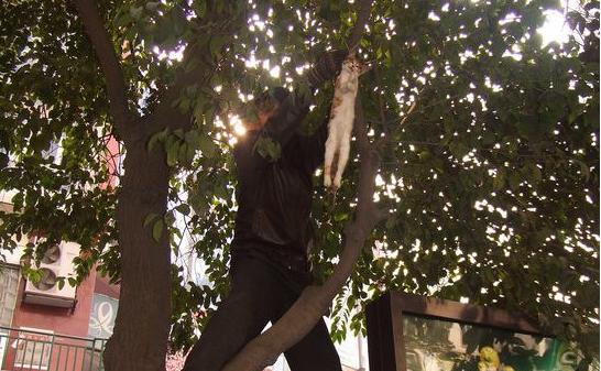 èΪʲô񣿡èͷʵԭԭ