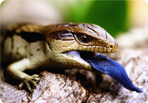 ������������Щ���ࣿ�������