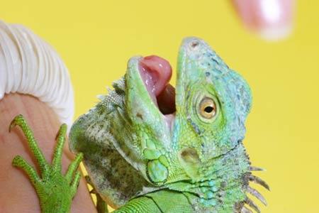 ������������Щ���ࣿ�������