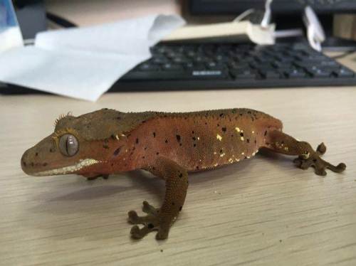 ������������Щ���ࣿ�������