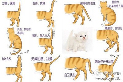 è��β�Ͷ����ĺ��壬���ˣ�������n�����ƣ�