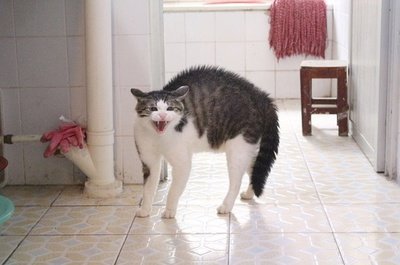 è��β�Ͷ����ĺ��壬���ˣ�������n�����ƣ�